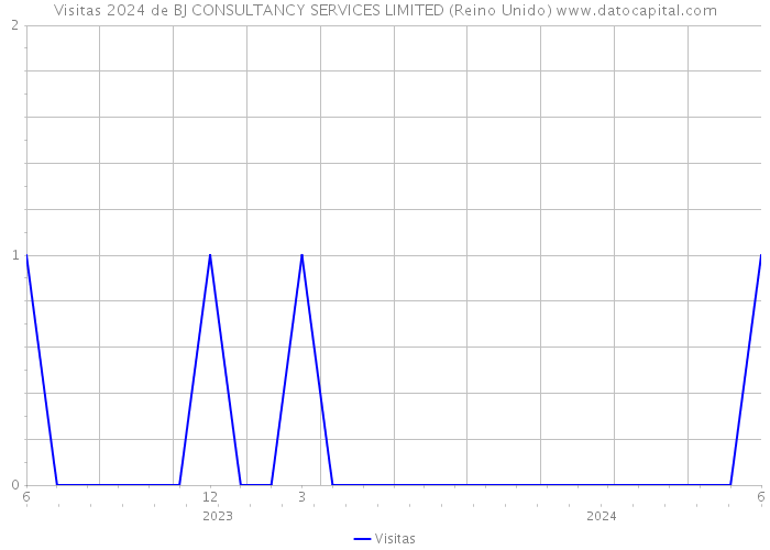 Visitas 2024 de BJ CONSULTANCY SERVICES LIMITED (Reino Unido) 