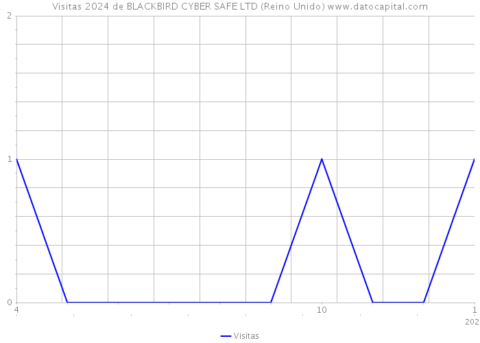 Visitas 2024 de BLACKBIRD CYBER SAFE LTD (Reino Unido) 