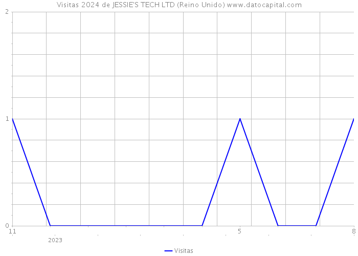 Visitas 2024 de JESSIE'S TECH LTD (Reino Unido) 