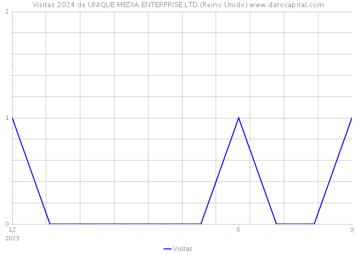 Visitas 2024 de UNIQUE MEDIA ENTERPRISE LTD (Reino Unido) 