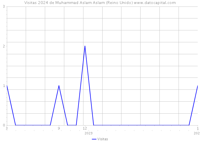 Visitas 2024 de Muhammad Aslam Aslam (Reino Unido) 
