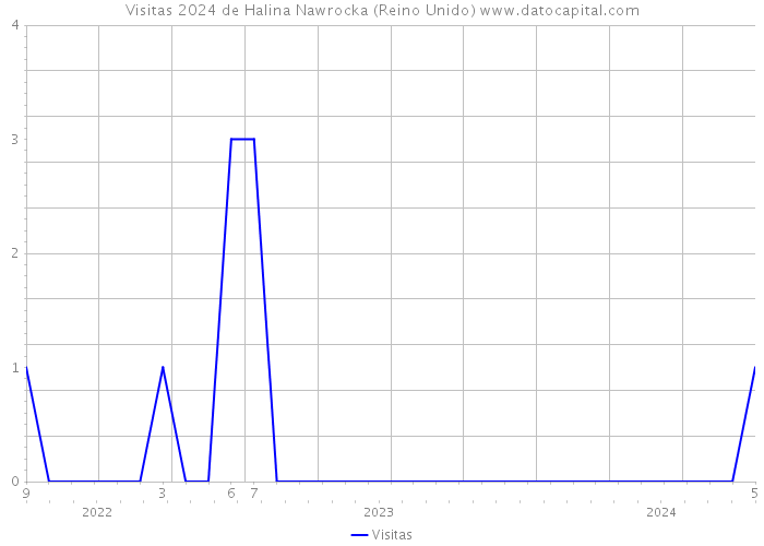 Visitas 2024 de Halina Nawrocka (Reino Unido) 