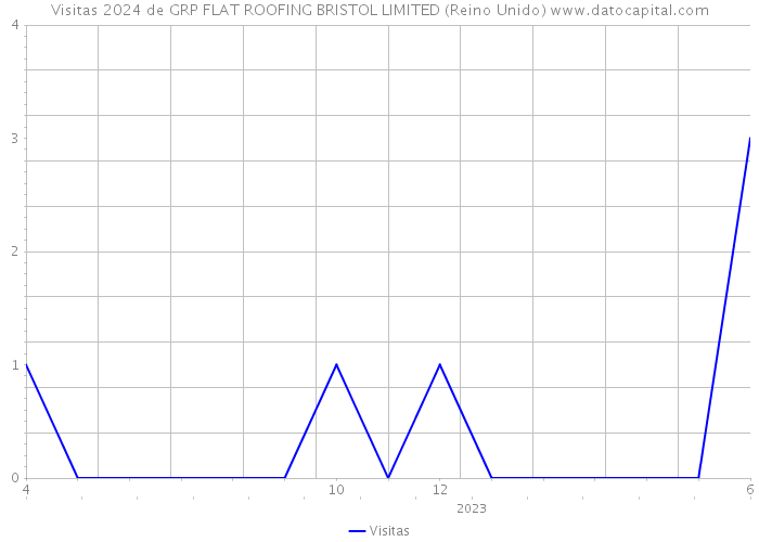 Visitas 2024 de GRP FLAT ROOFING BRISTOL LIMITED (Reino Unido) 