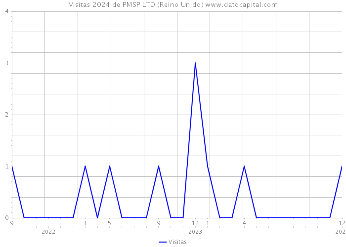 Visitas 2024 de PMSP LTD (Reino Unido) 