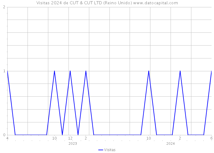 Visitas 2024 de CUT & CUT LTD (Reino Unido) 