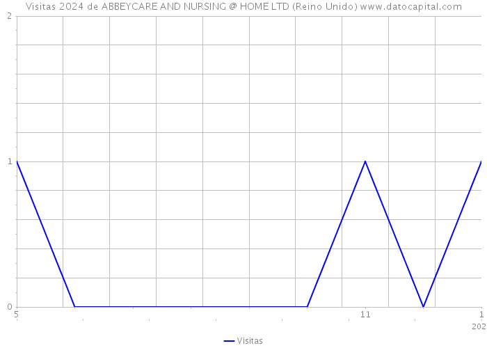 Visitas 2024 de ABBEYCARE AND NURSING @ HOME LTD (Reino Unido) 