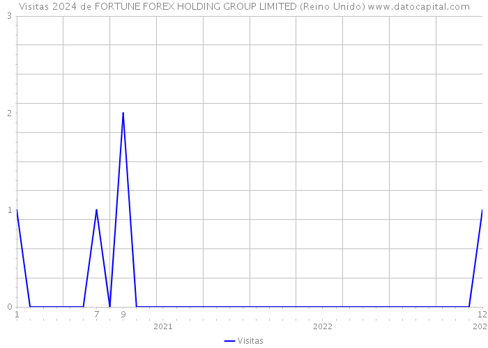 Visitas 2024 de FORTUNE FOREX HOLDING GROUP LIMITED (Reino Unido) 