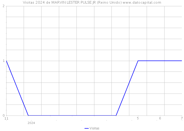 Visitas 2024 de MARVIN LESTER PULSE JR (Reino Unido) 