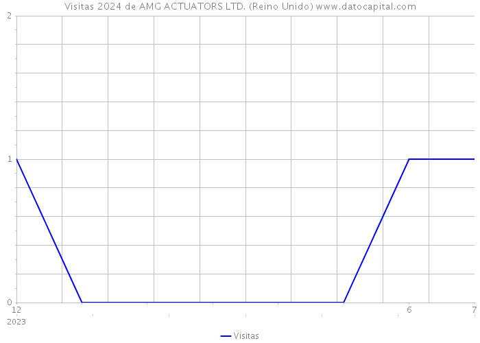 Visitas 2024 de AMG ACTUATORS LTD. (Reino Unido) 