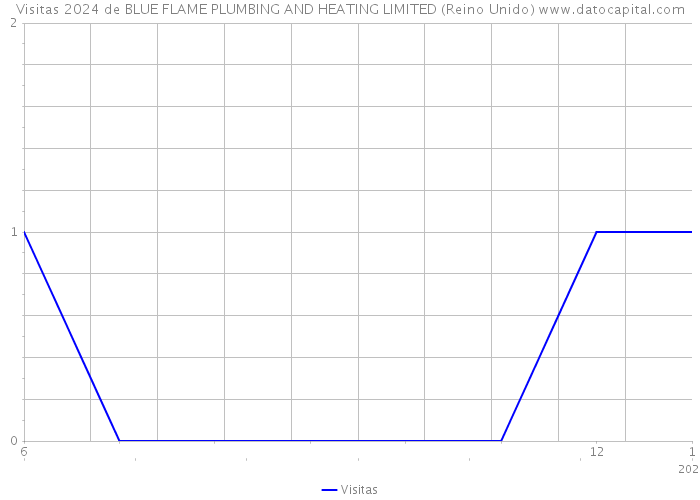 Visitas 2024 de BLUE FLAME PLUMBING AND HEATING LIMITED (Reino Unido) 