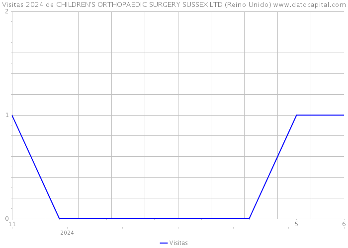 Visitas 2024 de CHILDREN'S ORTHOPAEDIC SURGERY SUSSEX LTD (Reino Unido) 