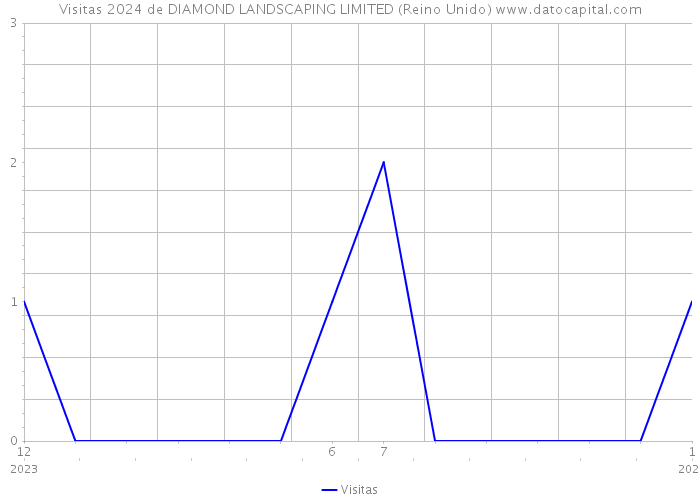 Visitas 2024 de DIAMOND LANDSCAPING LIMITED (Reino Unido) 