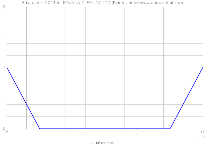 Búsquedas 2024 de ROXANA CLEANING LTD (Reino Unido) 