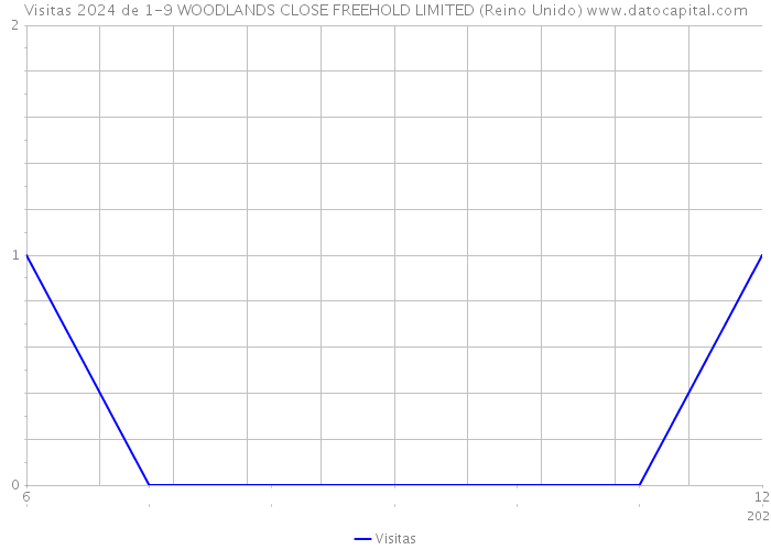 Visitas 2024 de 1-9 WOODLANDS CLOSE FREEHOLD LIMITED (Reino Unido) 