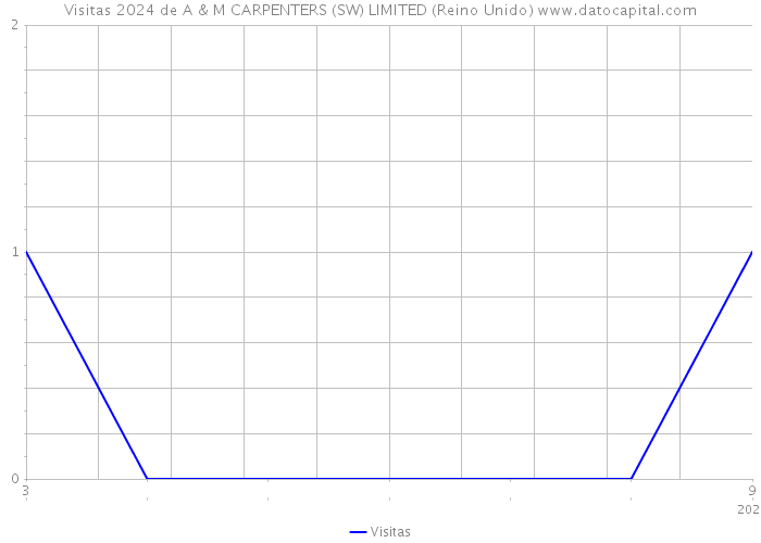 Visitas 2024 de A & M CARPENTERS (SW) LIMITED (Reino Unido) 