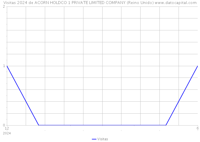 Visitas 2024 de ACORN HOLDCO 1 PRIVATE LIMITED COMPANY (Reino Unido) 