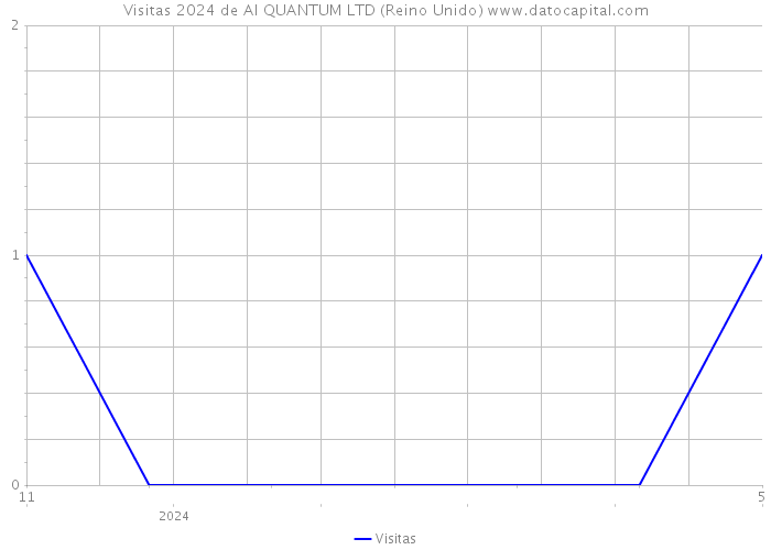 Visitas 2024 de AI QUANTUM LTD (Reino Unido) 