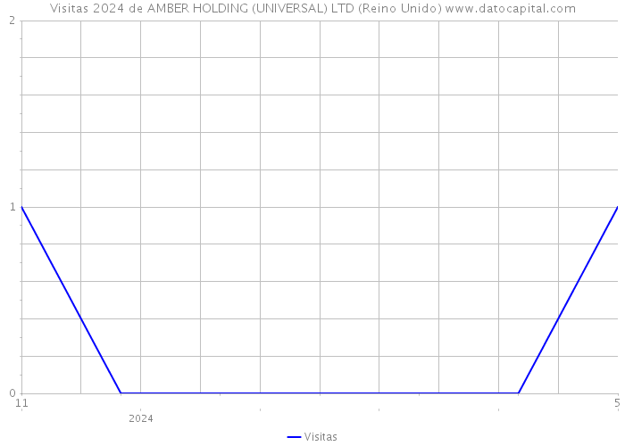 Visitas 2024 de AMBER HOLDING (UNIVERSAL) LTD (Reino Unido) 