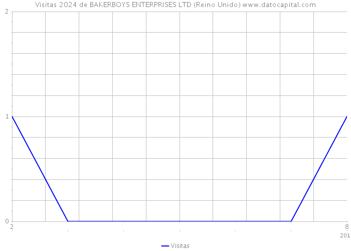 Visitas 2024 de BAKERBOYS ENTERPRISES LTD (Reino Unido) 