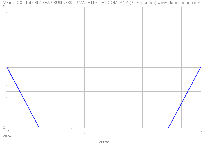 Visitas 2024 de BIG BEAR BUSINESS PRIVATE LIMITED COMPANY (Reino Unido) 
