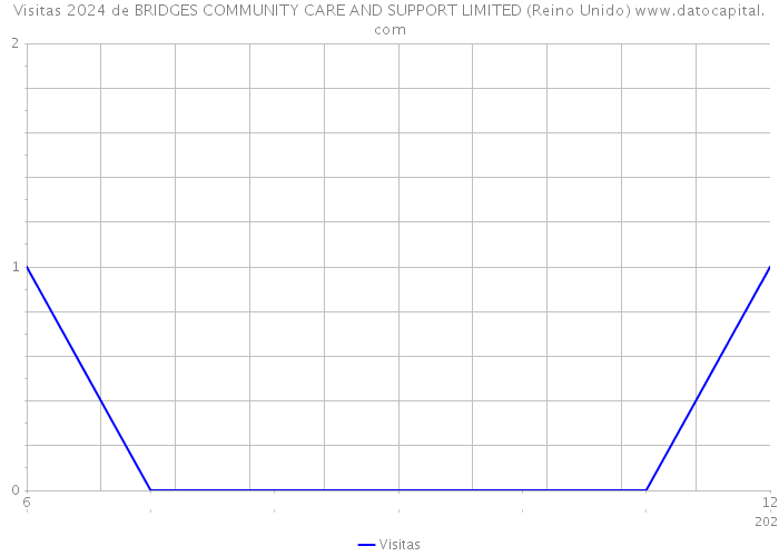 Visitas 2024 de BRIDGES COMMUNITY CARE AND SUPPORT LIMITED (Reino Unido) 