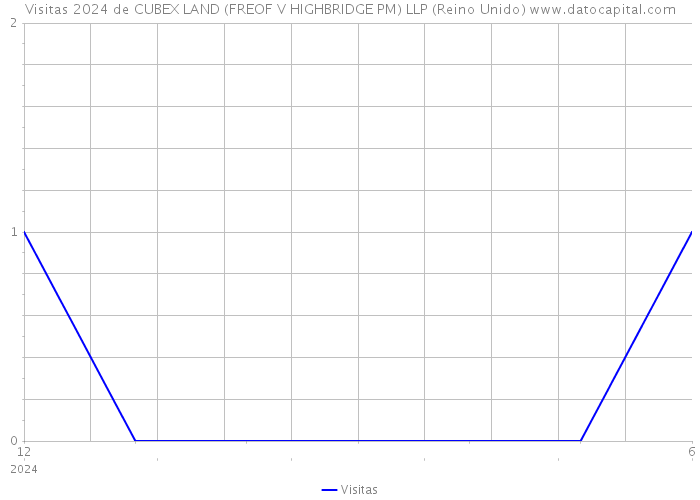 Visitas 2024 de CUBEX LAND (FREOF V HIGHBRIDGE PM) LLP (Reino Unido) 