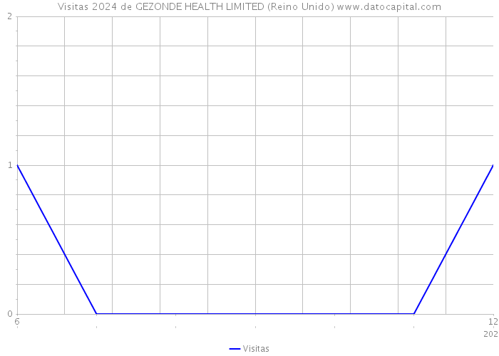 Visitas 2024 de GEZONDE HEALTH LIMITED (Reino Unido) 