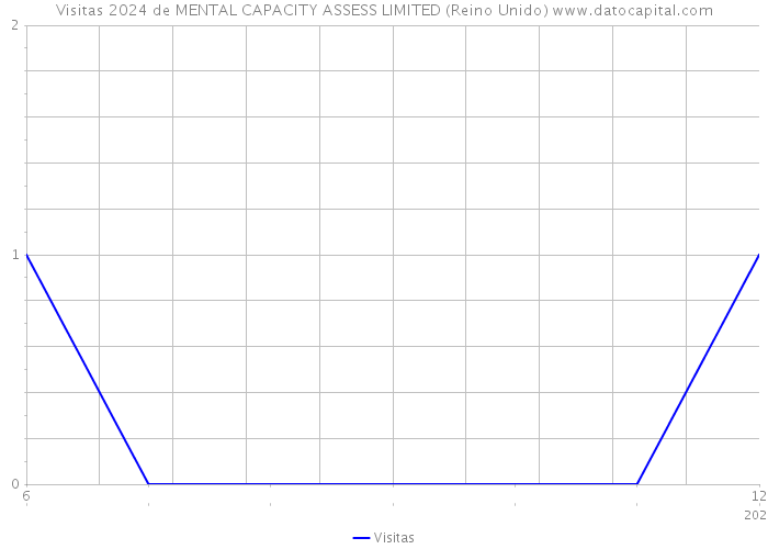 Visitas 2024 de MENTAL CAPACITY ASSESS LIMITED (Reino Unido) 