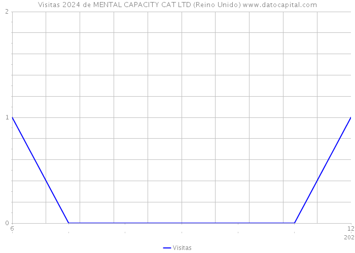 Visitas 2024 de MENTAL CAPACITY CAT LTD (Reino Unido) 