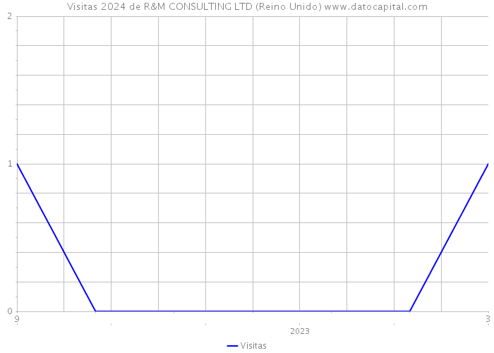 Visitas 2024 de R&M CONSULTING LTD (Reino Unido) 