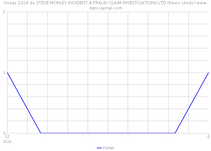 Visitas 2024 de STEVE MORLEY INCIDENT & FRAUD CLAIM INVESTIGATIONS LTD (Reino Unido) 