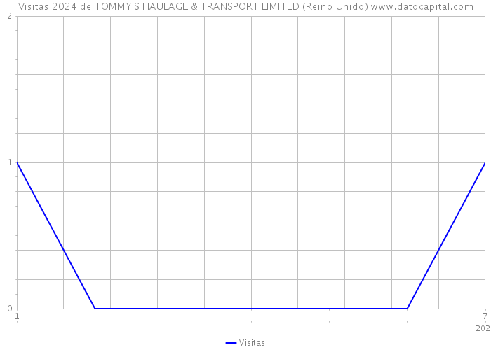 Visitas 2024 de TOMMY'S HAULAGE & TRANSPORT LIMITED (Reino Unido) 