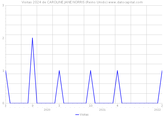 Visitas 2024 de CAROLINE JANE NORRIS (Reino Unido) 