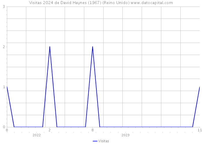 Visitas 2024 de David Haynes (1967) (Reino Unido) 