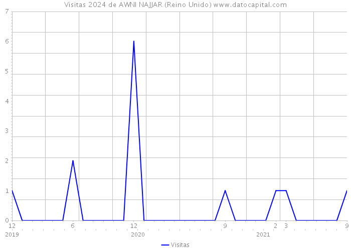 Visitas 2024 de AWNI NAJJAR (Reino Unido) 