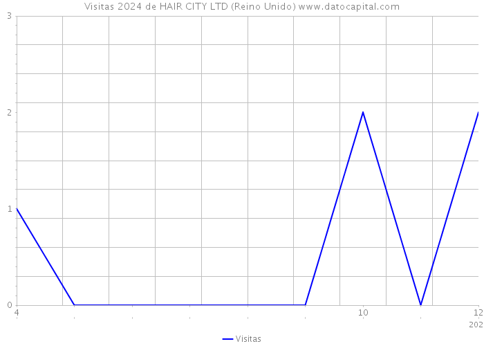 Visitas 2024 de HAIR CITY LTD (Reino Unido) 