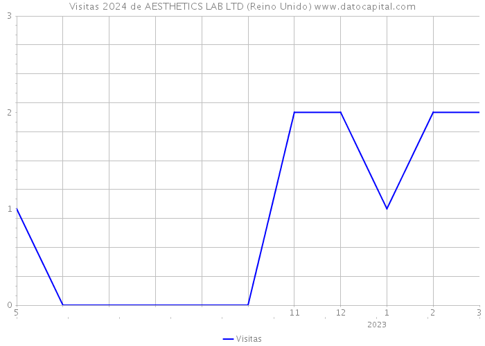 Visitas 2024 de AESTHETICS LAB LTD (Reino Unido) 