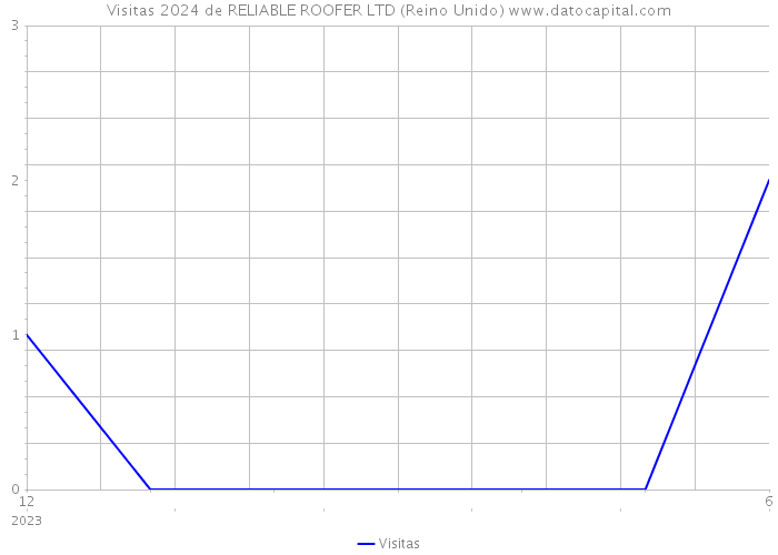 Visitas 2024 de RELIABLE ROOFER LTD (Reino Unido) 