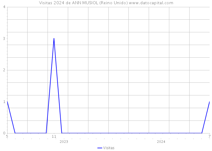 Visitas 2024 de ANN MUSIOL (Reino Unido) 