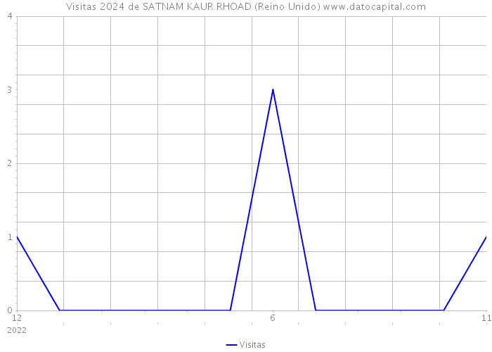 Visitas 2024 de SATNAM KAUR RHOAD (Reino Unido) 