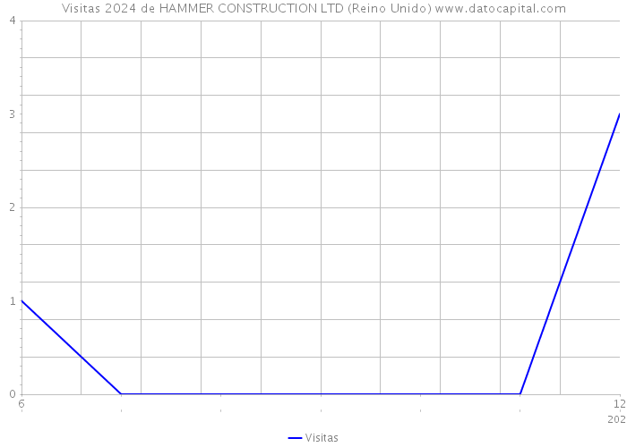 Visitas 2024 de HAMMER CONSTRUCTION LTD (Reino Unido) 