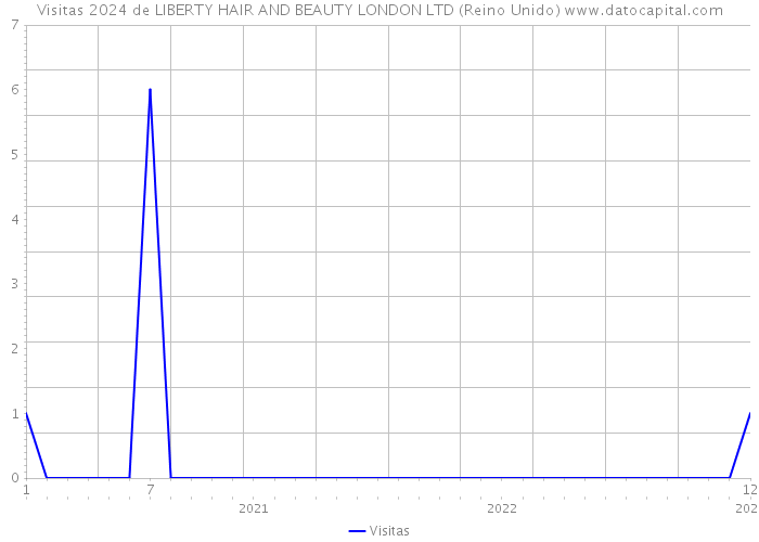 Visitas 2024 de LIBERTY HAIR AND BEAUTY LONDON LTD (Reino Unido) 