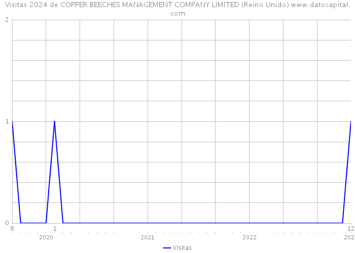 Visitas 2024 de COPPER BEECHES MANAGEMENT COMPANY LIMITED (Reino Unido) 