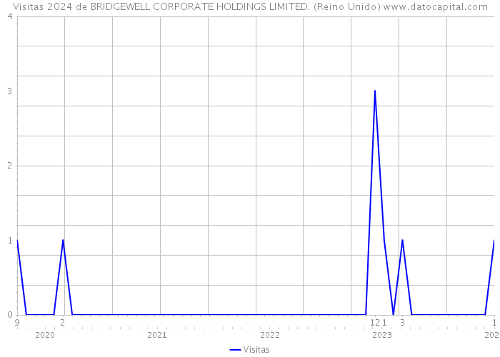 Visitas 2024 de BRIDGEWELL CORPORATE HOLDINGS LIMITED. (Reino Unido) 