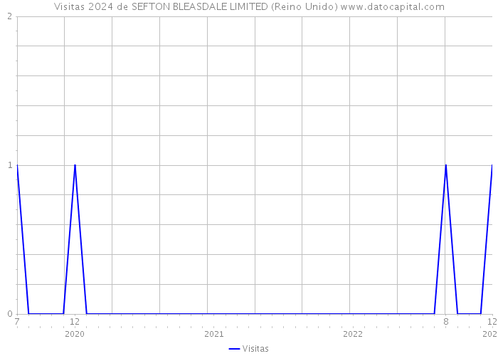 Visitas 2024 de SEFTON BLEASDALE LIMITED (Reino Unido) 