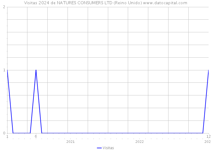 Visitas 2024 de NATURES CONSUMERS LTD (Reino Unido) 