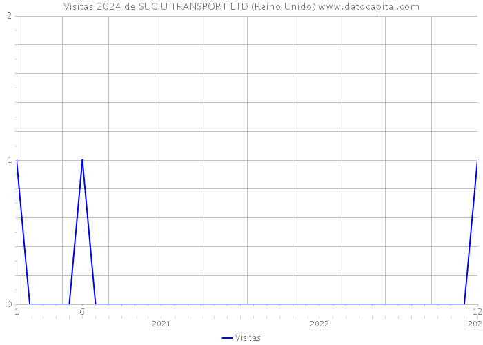 Visitas 2024 de SUCIU TRANSPORT LTD (Reino Unido) 