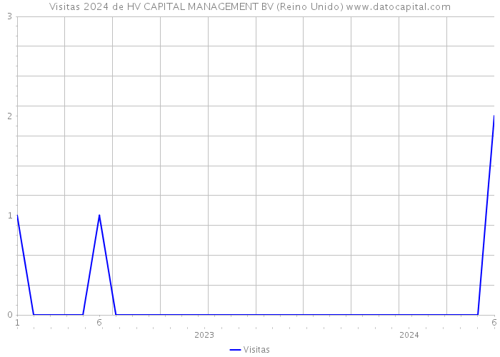 Visitas 2024 de HV CAPITAL MANAGEMENT BV (Reino Unido) 