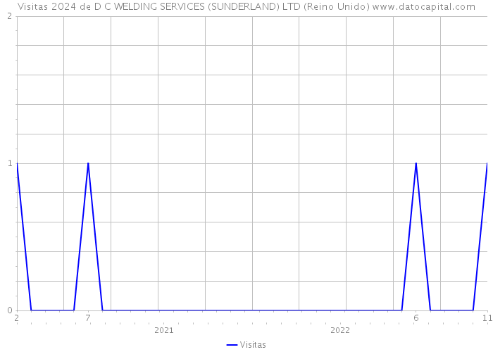 Visitas 2024 de D C WELDING SERVICES (SUNDERLAND) LTD (Reino Unido) 