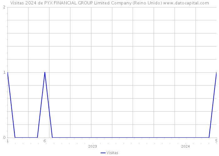 Visitas 2024 de PYX FINANCIAL GROUP Limited Company (Reino Unido) 